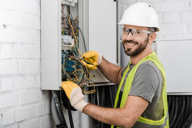 Best Affordable Electrician  in Oronoco, MN