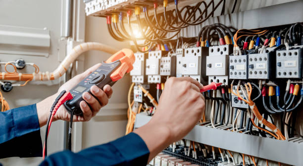 Best Electrical Rewiring Services  in Oronoco, MN