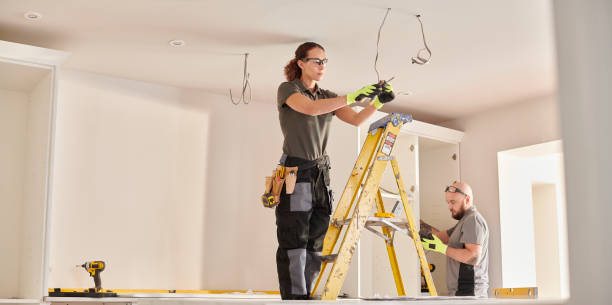 Best Electrical Upgrades for Homes  in Oronoco, MN