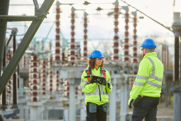 Best Residential Electrician Services  in Oronoco, MN