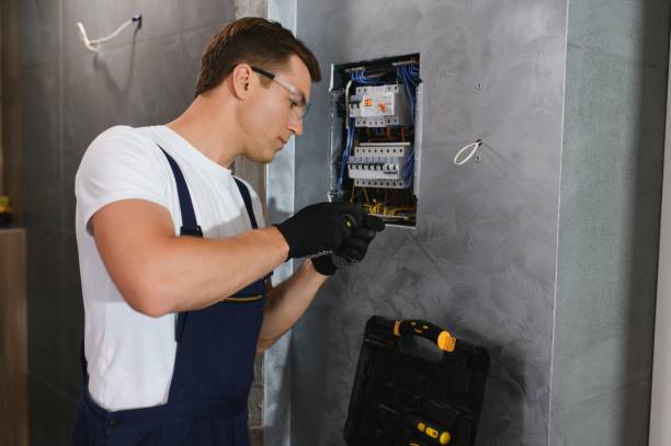 Professional Electrician in Oronoco, MN