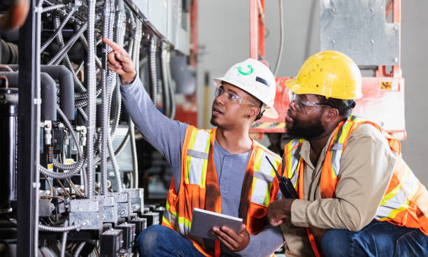Best 24-Hour Electrician  in Oronoco, MN