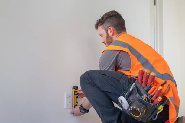 Best Industrial Electrical Services  in Oronoco, MN