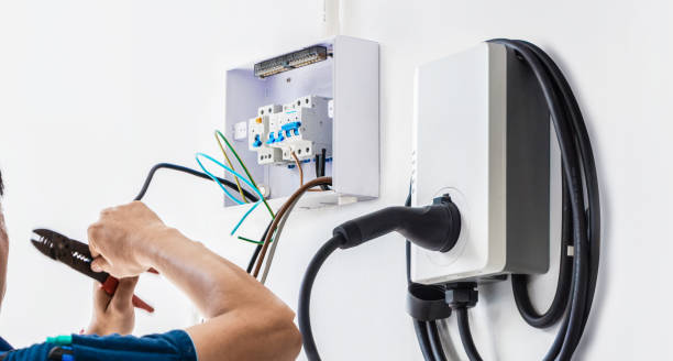 Best Electric Panel Repair  in Oronoco, MN